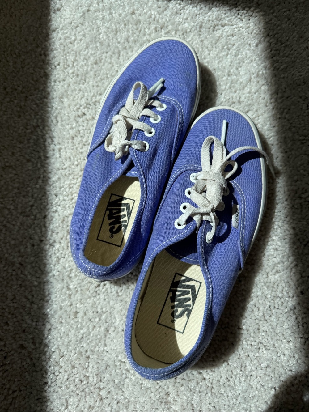 Vans Classic Canvas Sneakers in Periwinkle